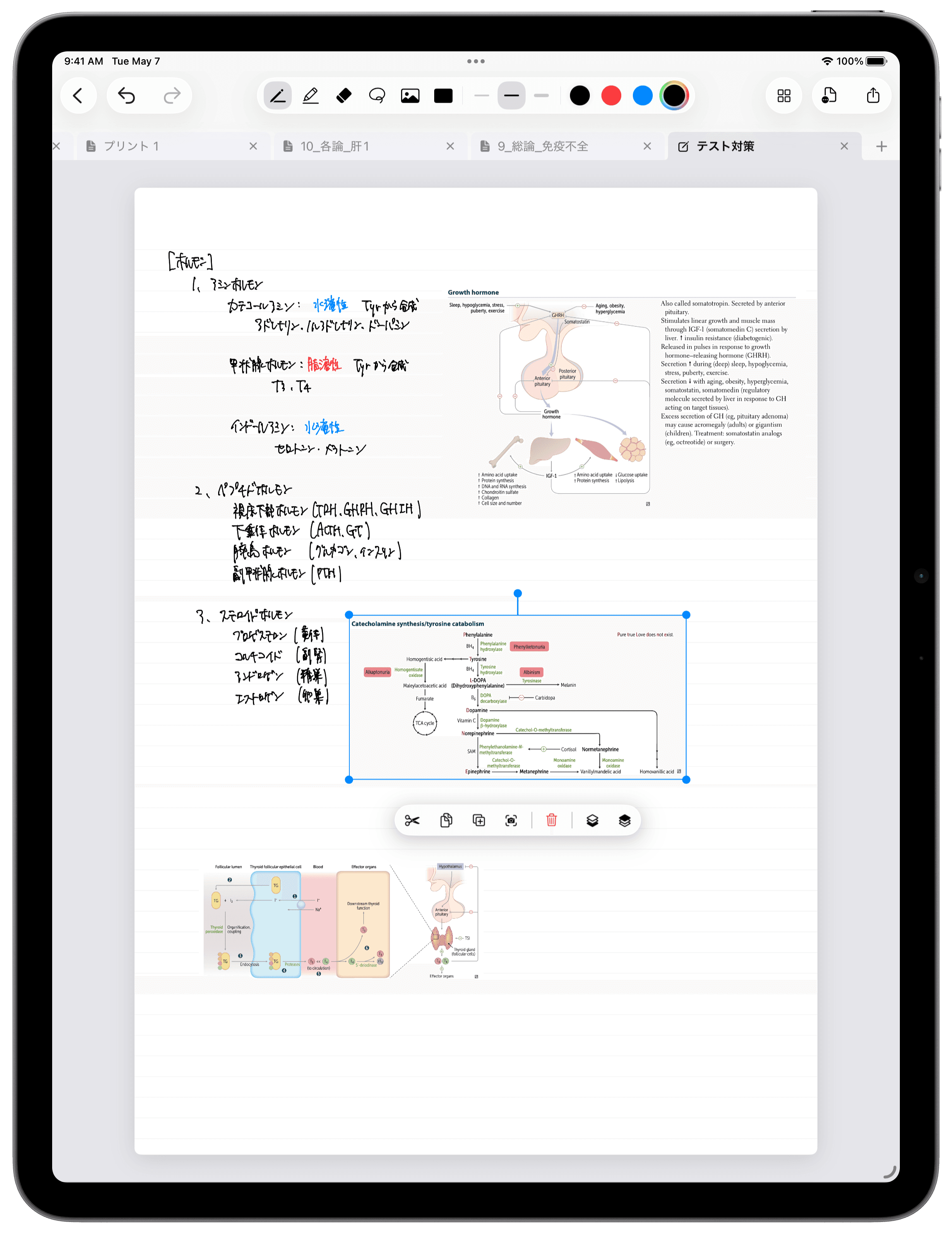 iPad・手書きノートで画像注釈を選択しているライトUI