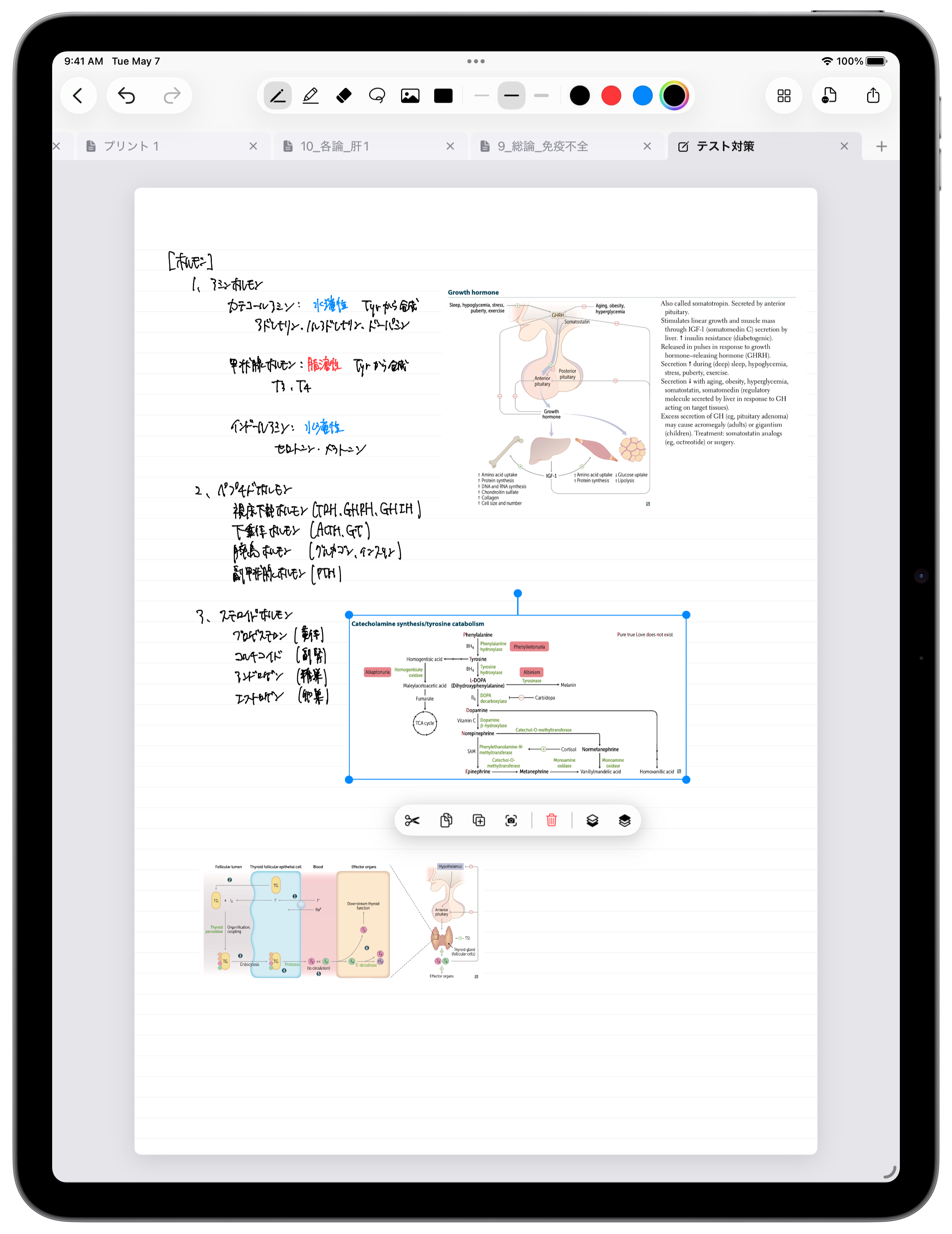 iPad・手書きノートで画像注釈を選択しているライトUI